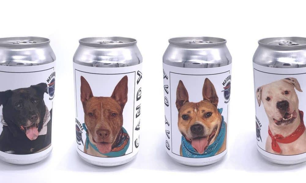 As part of Motorwork's Brewing Company's contribution towards animals in need, they find homes for dogs in animal shelters.